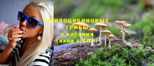 каннабис Арсеньев